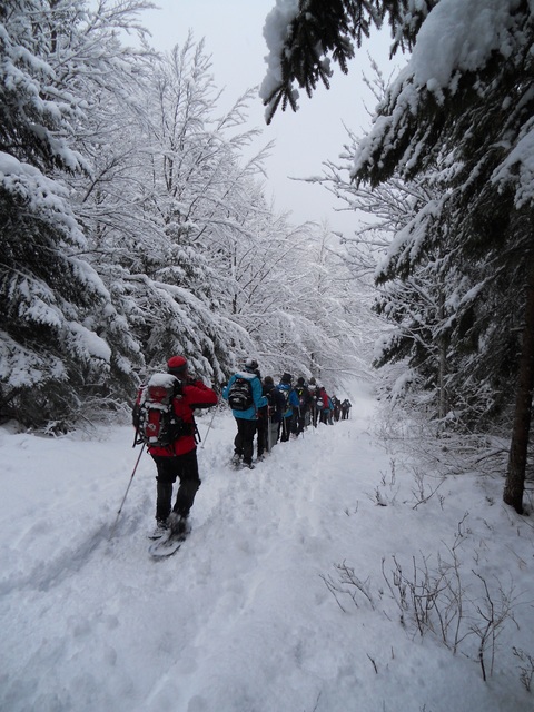 Raquettes à neige 01/2016