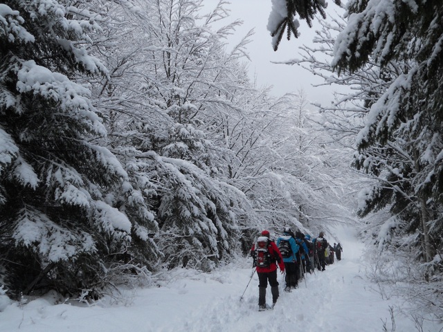 Raquettes à neige 01/2016