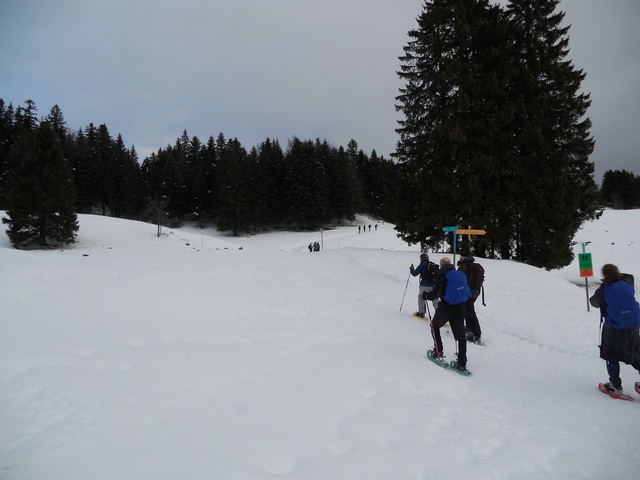 Raquettes à neige 01/2016