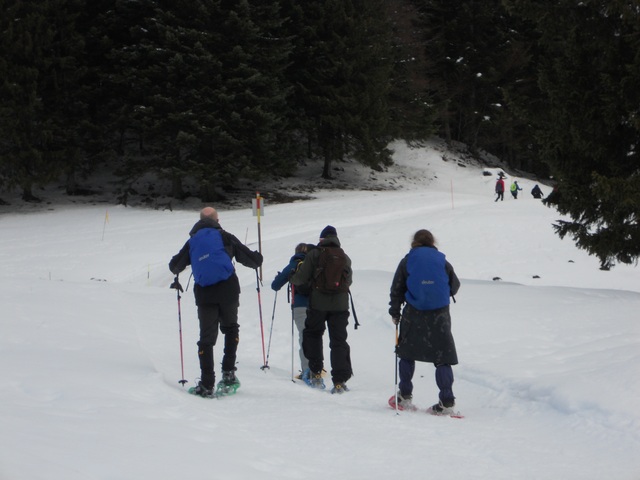 Raquettes à neige 01/2016