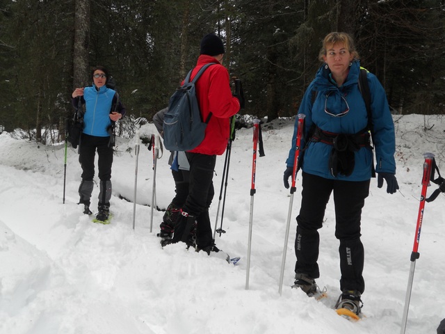 Raquettes à neige 01/2016