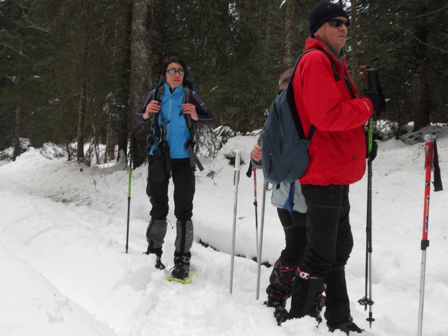 Raquettes à neige 01/2016