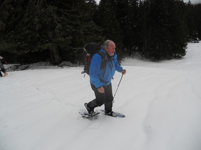 Raquettes à neige 01/2016