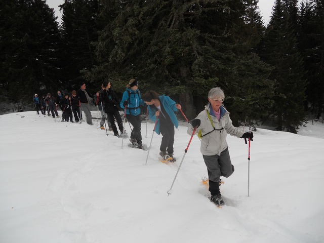 Raquettes à neige 01/2016