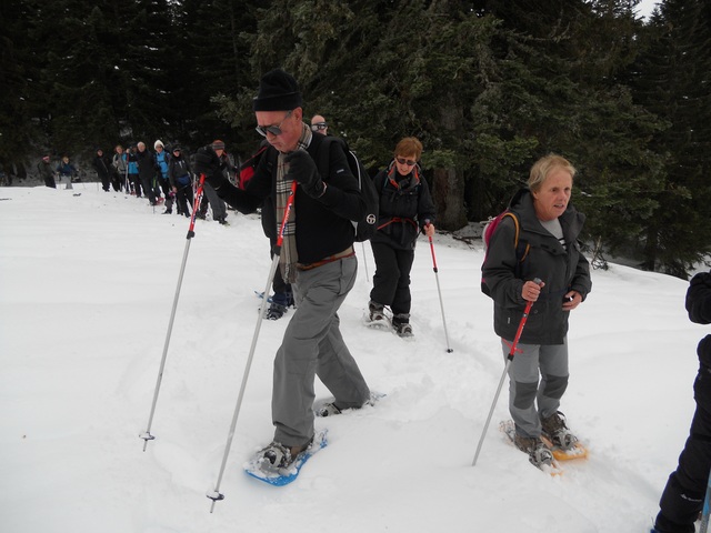 Raquettes à neige 01/2016