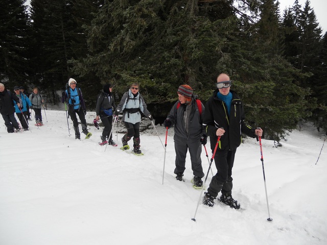 Raquettes à neige 01/2016