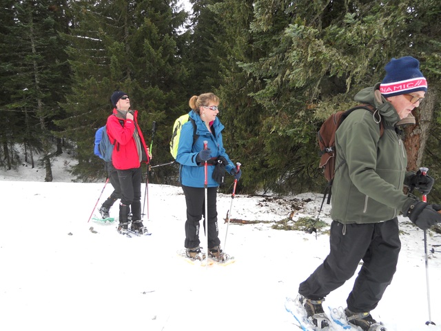 Raquettes à neige 01/2016