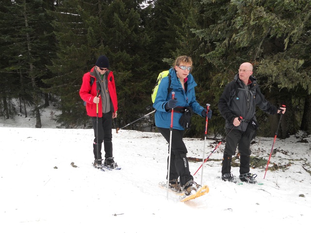 Raquettes à neige 01/2016