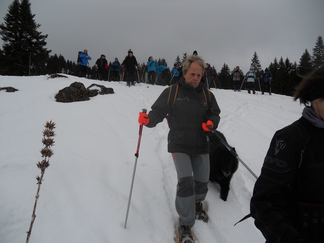 Raquettes à neige 01/2016