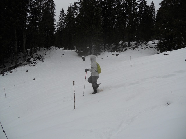 Raquettes à neige 01/2016