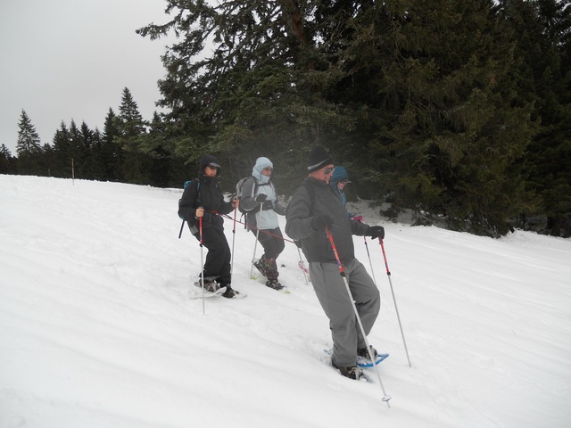 Raquettes à neige 01/2016