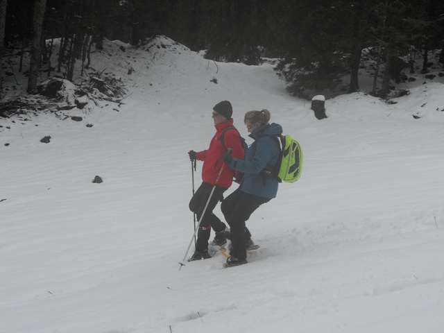 Raquettes à neige 01/2016