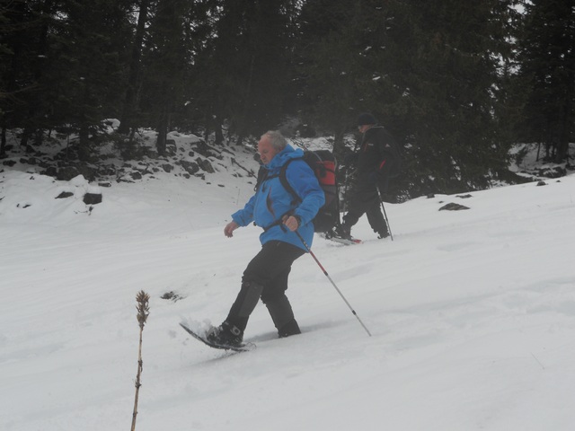 Raquettes à neige 01/2016