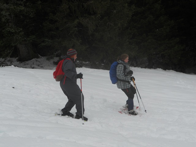 Raquettes à neige 01/2016