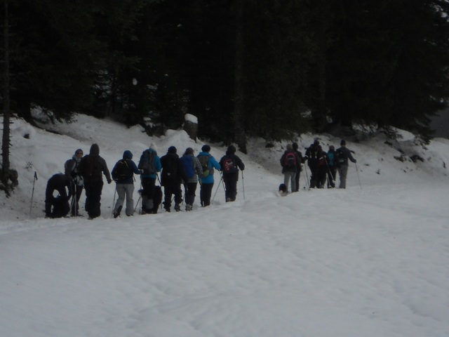 Raquettes à neige 01/2016