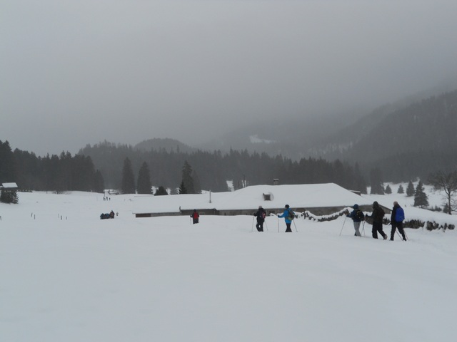 Raquettes à neige 01/2016