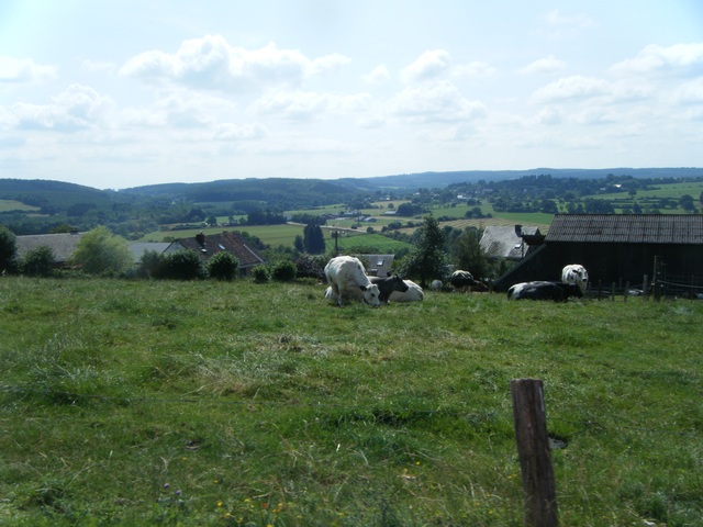 Randonnée tandem à Forrières