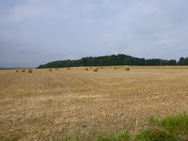 Séjour tandem à Forrières