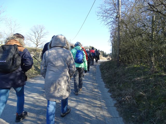 Randonnée pédestre à Chevetogne