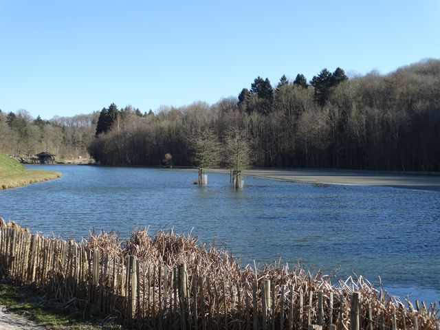 Randonnée pédestre à Chevetogne