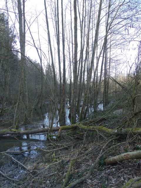 Randonnée pédestre à Chevetogne