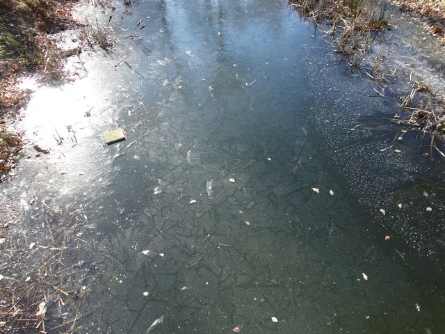 Randonnée pédestre à Chevetogne