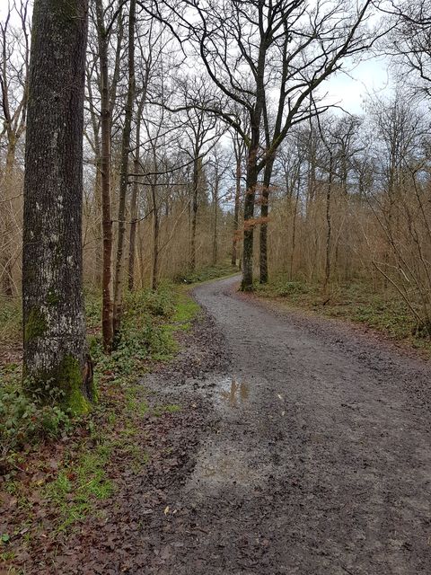 Randonnée tandem à Chevetogne