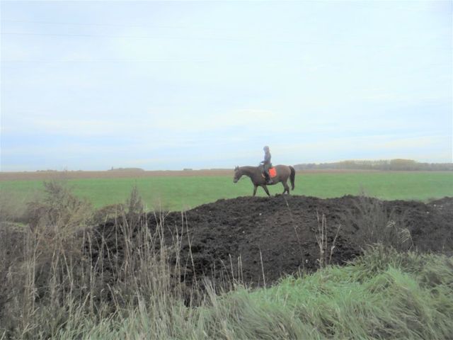 Randonnée tandem à Flawinne