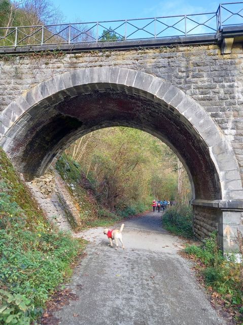 Randonnée tandem à Purnode