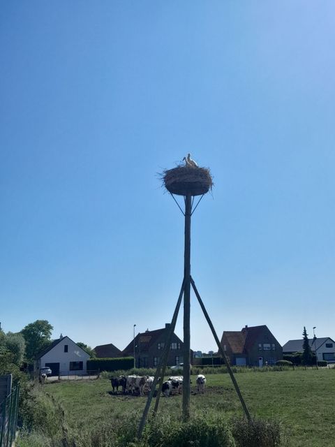 Randonnée tandem à Maldegem