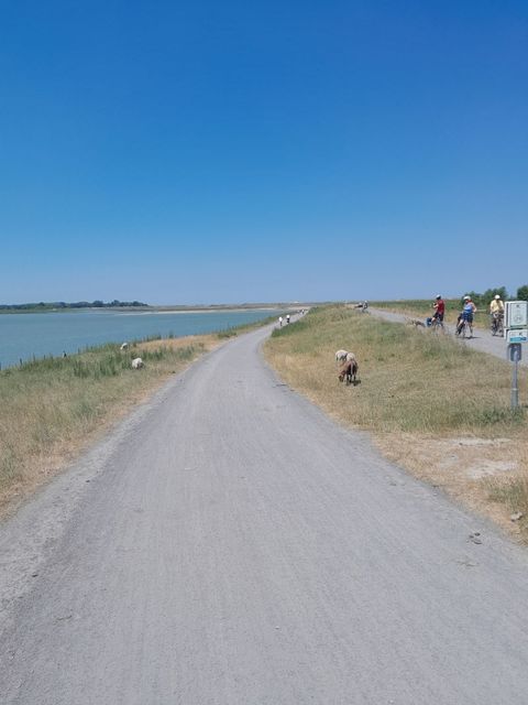 Randonnée tandem à Maldegem